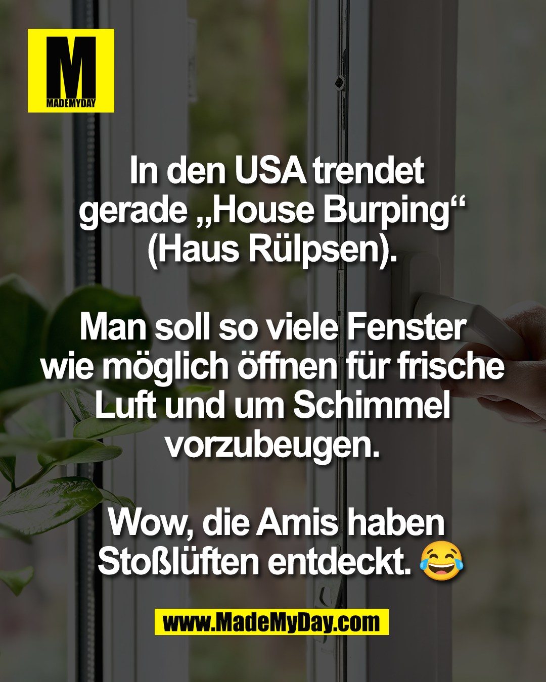 In den USA trendet<br />
gerade &bdquo;House Burping&ldquo; <br />
(Haus R&uuml;lpsen). <br />
<br />
Man soll so viele Fenster <br />
wie m&ouml;glich &ouml;ffnen f&uuml;r frische <br />
Luft und um Schimmel <br />
vorzubeugen. <br />
<br />
Wow, die Amis haben<br />
 Sto&szlig;l&uuml;ften entdeckt. 😂