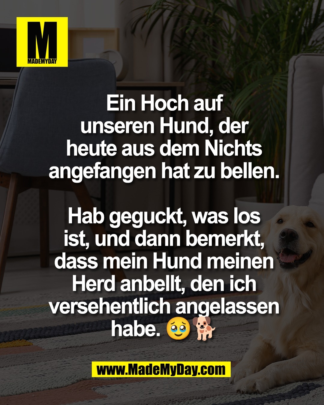 Ein Hoch auf<br />
unseren Hund, der<br />
heute aus dem Nichts<br />
angefangen hat zu bellen.<br />
<br />
Hab geguckt, was los<br />
ist, und dann bemerkt,<br />
dass mein Hund meinen<br />
Herd anbellt, den ich<br />
versehentlich angelassen<br />
habe. 🥹🐕