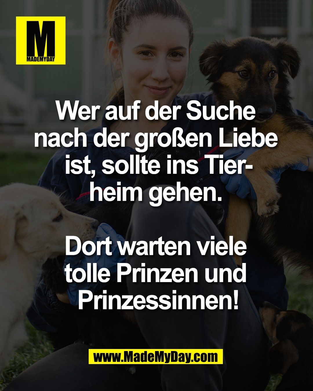 Wer auf der Suche <br />
nach der gro&szlig;en Liebe <br />
ist, sollte ins Tier-<br />
heim gehen. <br />
<br />
Dort warten viele <br />
tolle Prinzen und <br />
Prinzessinnen!