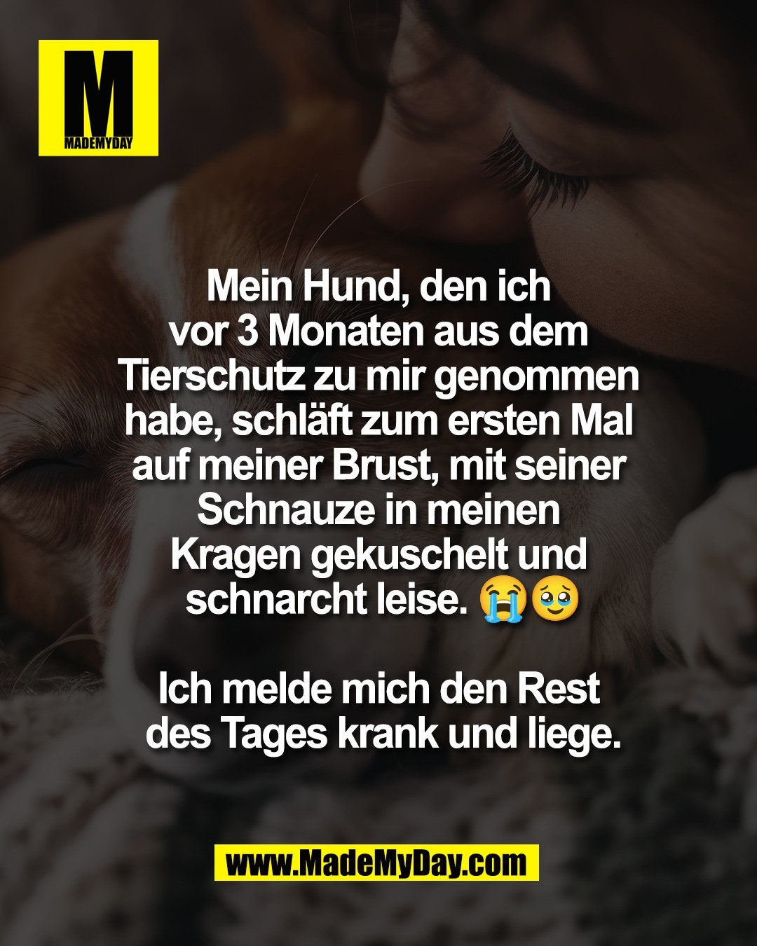 Mein Hund, den ich <br />
vor 3 Monaten aus dem <br />
Tierschutz zu mir genommen <br />
habe, schl&auml;ft zum ersten Mal <br />
auf meiner Brust, mit seiner <br />
Schnauze in meinen <br />
Kragen gekuschelt und <br />
schnarcht leise. 😭🥹<br />
<br />
Ich melde mich den Rest <br />
des Tages krank und liege.