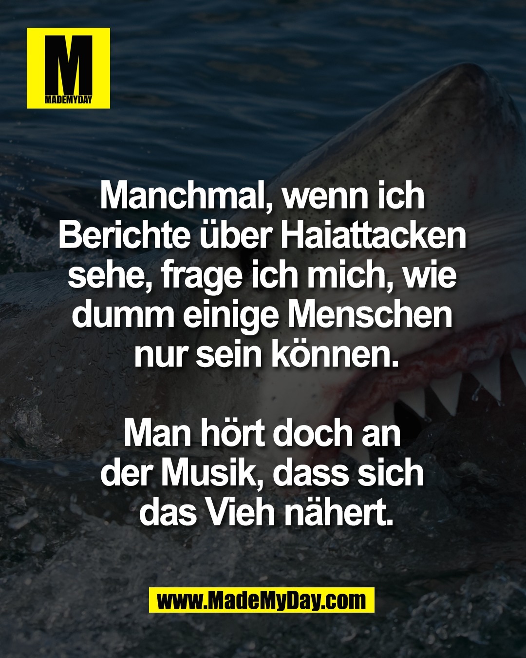 Manchmal, wenn ich <br />
Berichte &uuml;ber Haiattacken <br />
sehe, frage ich mich, wie <br />
dumm einige Menschen <br />
nur sein k&ouml;nnen.<br />
<br />
Man h&ouml;rt doch an <br />
der Musik, dass sich <br />
das Vieh n&auml;hert.