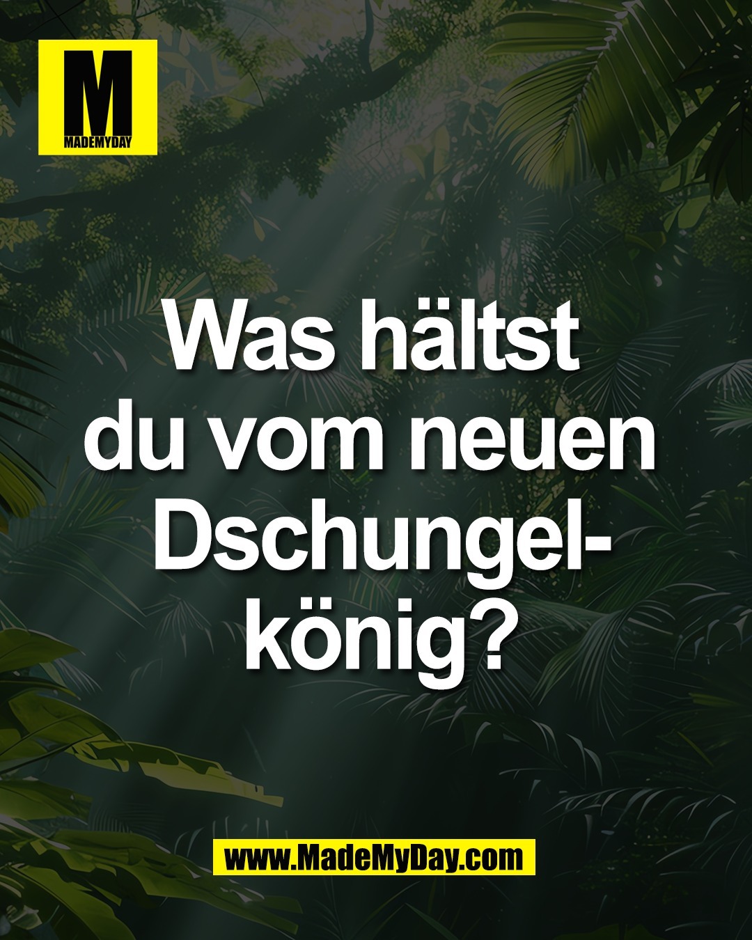 Was h&auml;ltst <br />
du vom neuen <br />
Dschungel-<br />
k&ouml;nig?