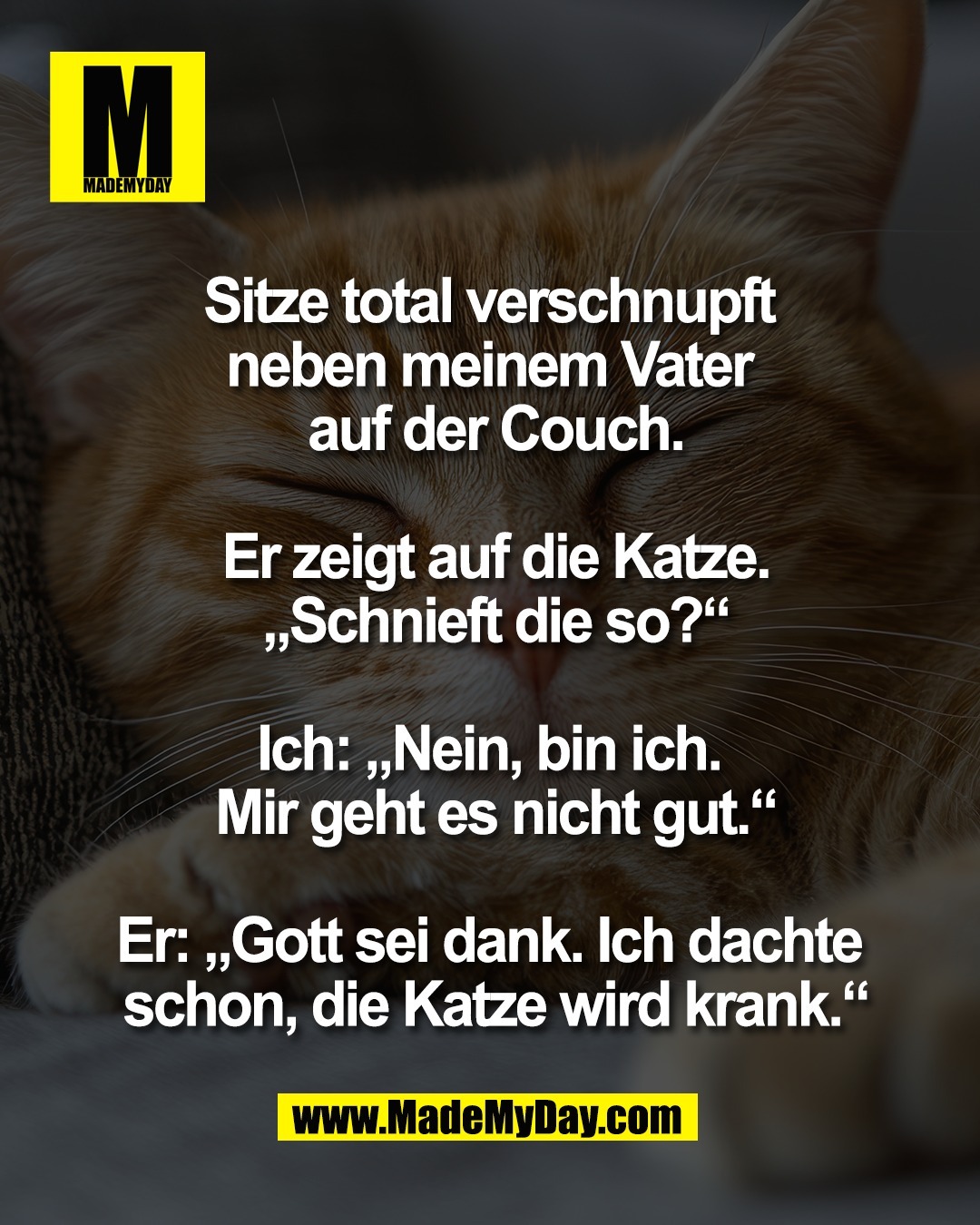 Sitze total verschnupft <br />
neben meinem Vater <br />
auf der Couch.<br />
<br />
Er zeigt auf die Katze.<br />
&bdquo;Schnieft die so?&ldquo;<br />
<br />
Ich: &bdquo;Nein, bin ich. <br />
Mir geht es nicht gut.&ldquo;<br />
<br />
Er: &bdquo;Gott sei dank. Ich dachte <br />
schon, die Katze wird krank.&ldquo;