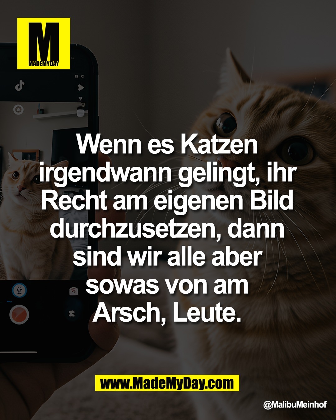 Wenn es Katzen <br />
irgendwann gelingt, ihr <br />
Recht am eigenen Bild <br />
durchzusetzen, dann <br />
sind wir alle aber <br />
sowas von am <br />
Arsch, Leute.