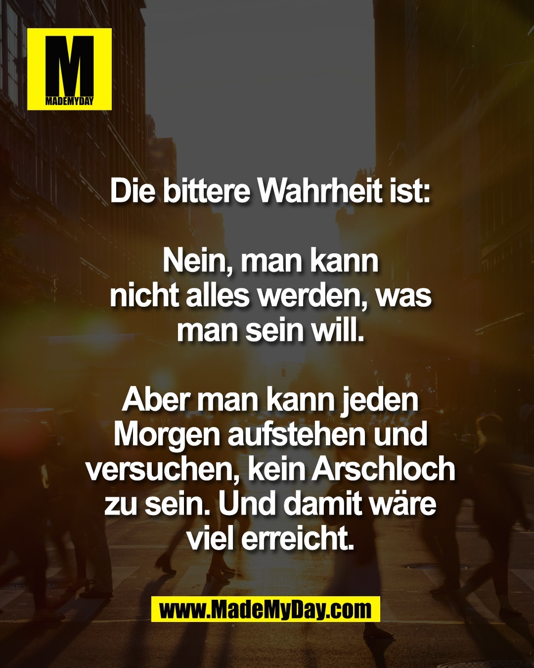 Die bittere Wahrheit ist:<br />
<br />
Nein, man kann<br />
nicht alles werden, was<br />
man sein will.<br />
<br />
Aber man kann jeden<br />
Morgen aufstehen und<br />
versuchen, kein Arschloch<br />
zu sein. Und damit w&auml;re<br />
viel erreicht.