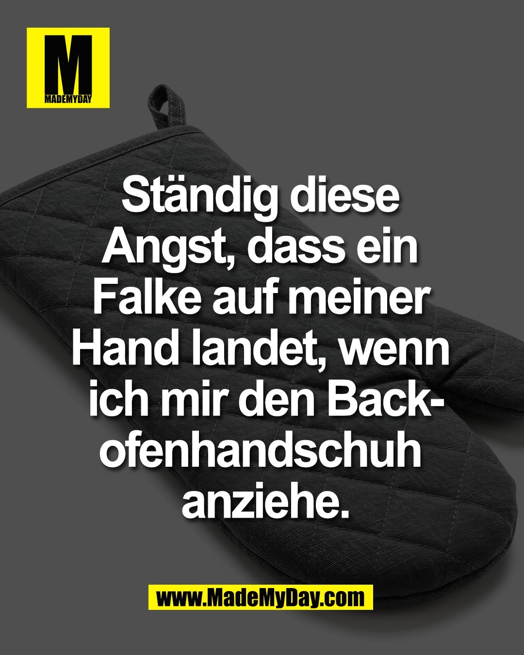 St&auml;ndig diese <br />
Angst, dass ein <br />
Falke auf meiner <br />
Hand landet, wenn <br />
ich mir den Back-<br />
ofenhandschuh <br />
anziehe.