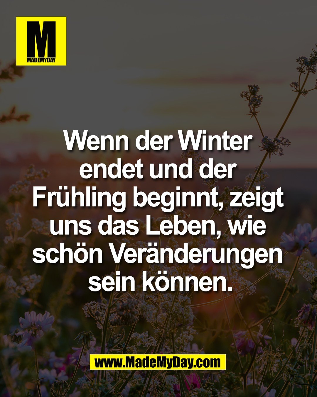 Wenn der Winter <br />
endet und der <br />
Fr&uuml;hling beginnt, zeigt <br />
uns das Leben, wie <br />
sch&ouml;n Ver&auml;nderungen <br />
sein k&ouml;nnen.