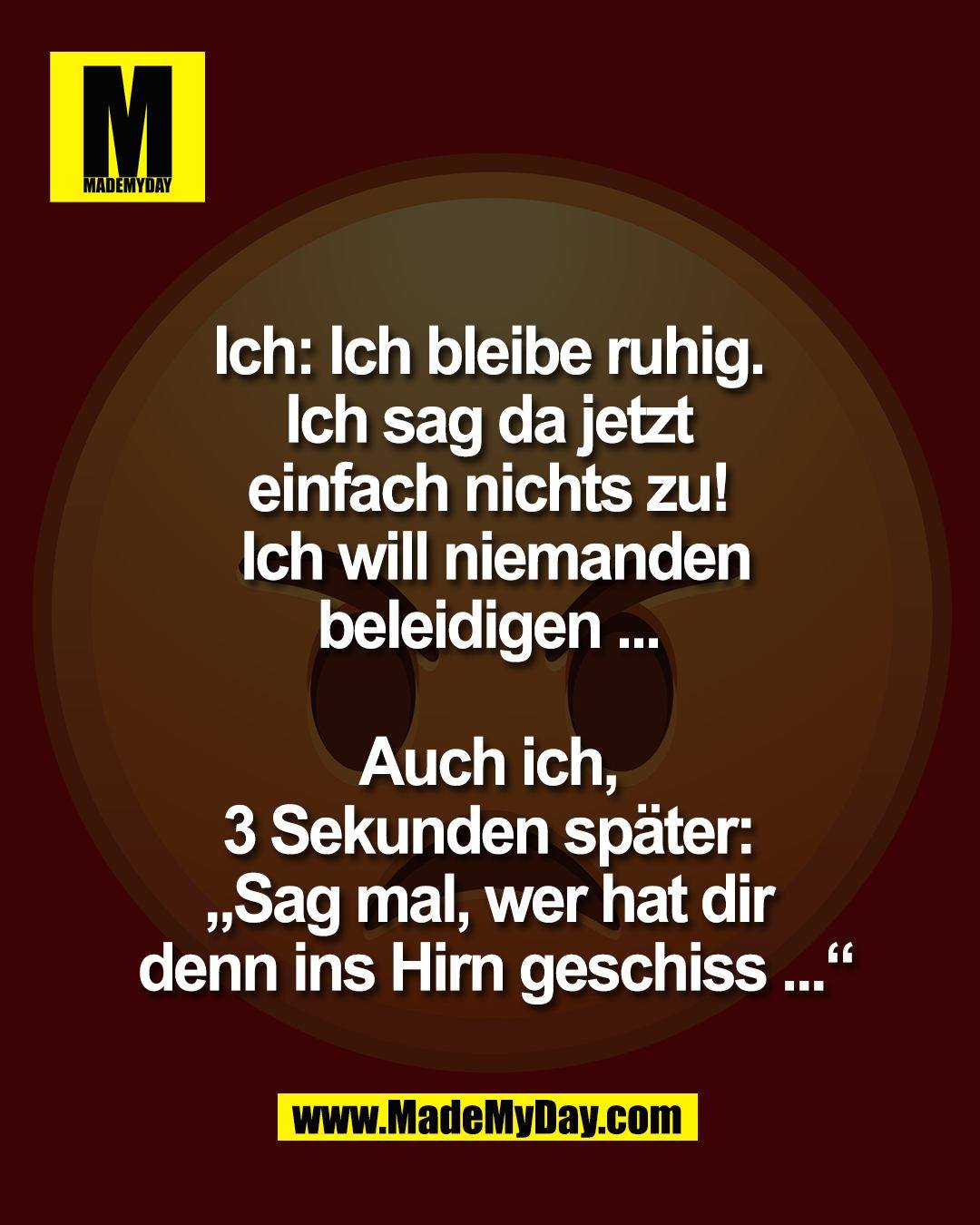 Ich: Ich bleibe ruhig. <br />
Ich sag da jetzt <br />
einfach nichts zu! <br />
Ich will niemanden<br />
beleidigen ... <br />
<br />
Auch ich, <br />
3 Sekunden sp&auml;ter: <br />
&bdquo;Sag mal, wer hat dir <br />
denn ins Hirn geschiss ...&ldquo;