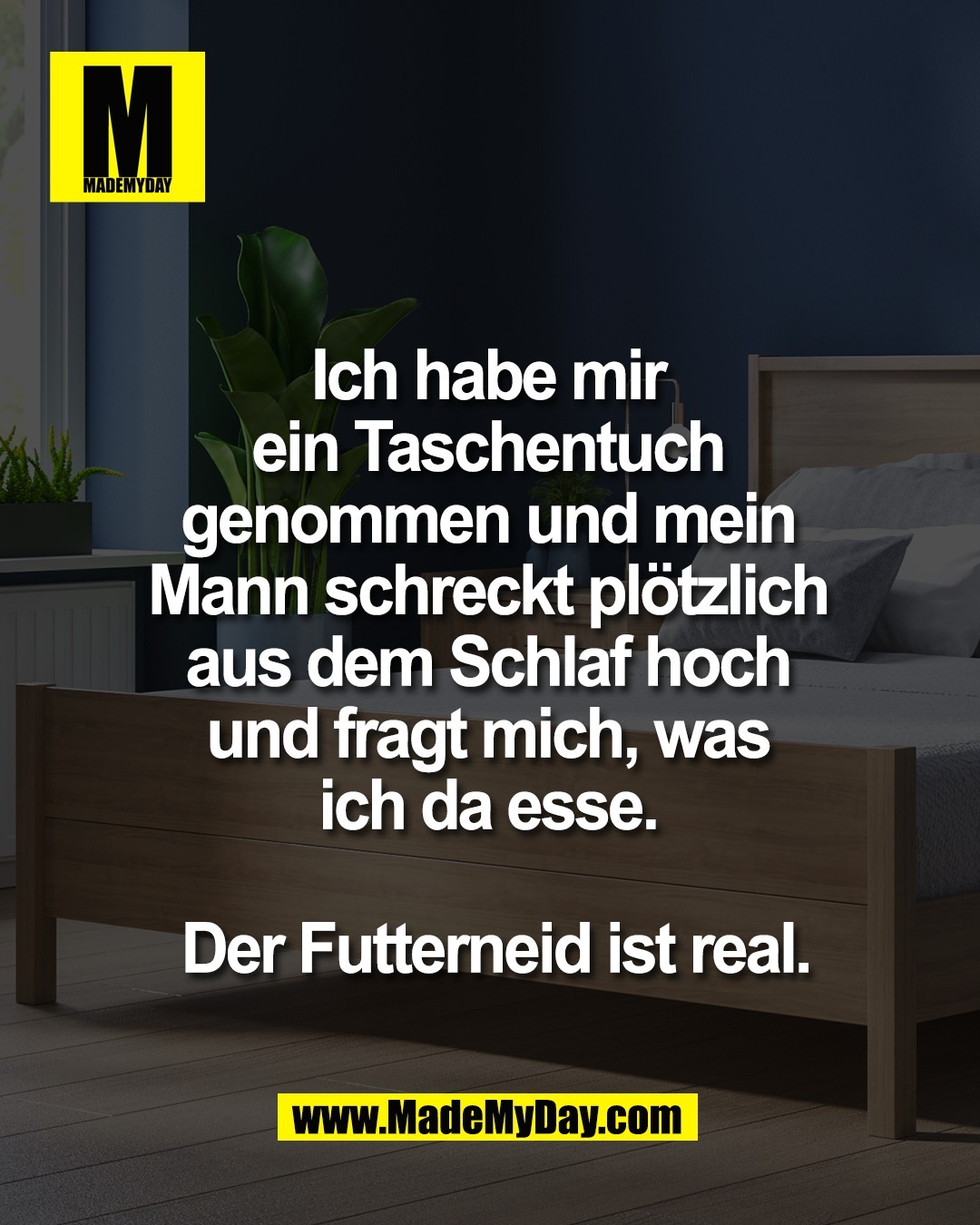 Ich habe mir <br />
ein Taschentuch <br />
genommen und mein <br />
Mann schreckt pl&ouml;tzlich <br />
aus dem Schlaf hoch <br />
und fragt mich, was <br />
ich da esse. <br />
<br />
Der Futterneid ist real.