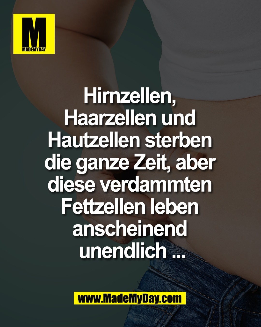 Hirnzellen, <br />
Haarzellen und <br />
Hautzellen sterben <br />
die ganze Zeit, aber <br />
diese verdammten <br />
Fettzellen leben <br />
anscheinend <br />
unendlich ...
