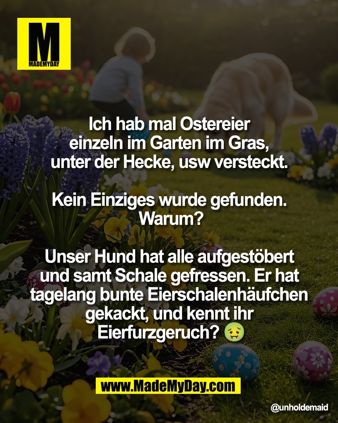 Ich hab mal Ostereier <br />
einzeln im Garten im Gras, <br />
unter der Hecke, usw versteckt. <br />
<br />
Kein Einziges wurde gefunden. <br />
Warum?<br />
<br />
Unser Hund hat alle aufgest&ouml;bert <br />
und samt Schale gefressen. Er hat <br />
tagelang bunte Eierschalenh&auml;ufchen <br />
gekackt, und kennt ihr <br />
Eierfurzgeruch? 🤢