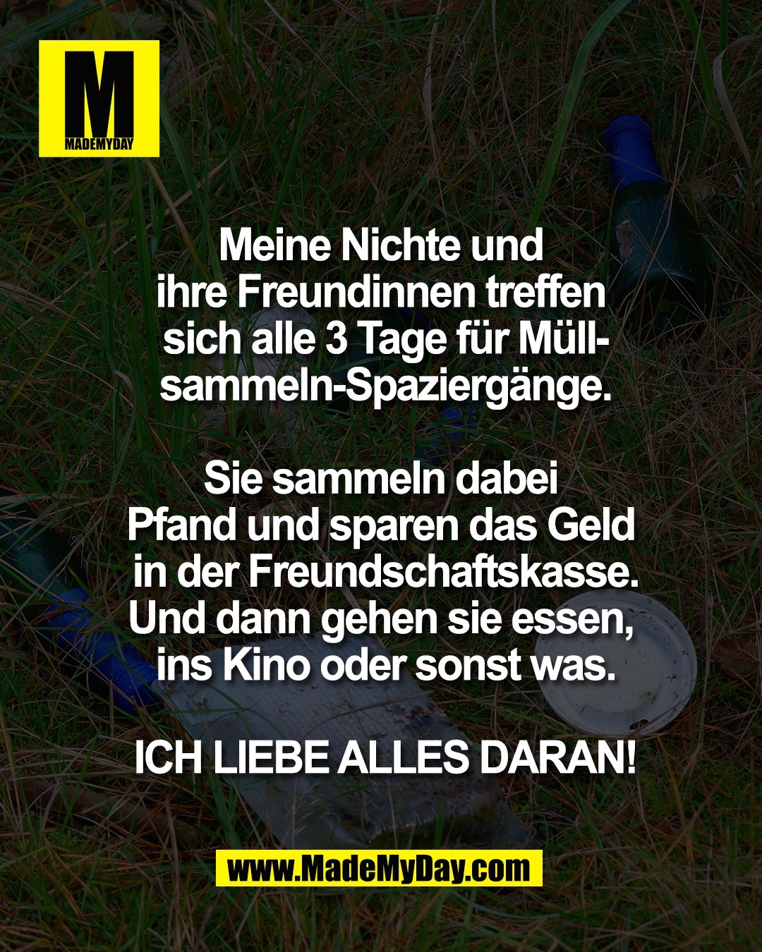Meine Nichte und <br />
ihre Freundinnen treffen <br />
sich alle 3 Tage f&uuml;r M&uuml;ll-<br />
sammeln-Spazierg&auml;nge.<br />
<br />
Sie sammeln dabei <br />
Pfand und sparen das Geld <br />
in der Freundschaftskasse.<br />
Und dann gehen sie essen, <br />
ins Kino oder sonst was.<br />
<br />
ICH LIEBE ALLES DARAN!
