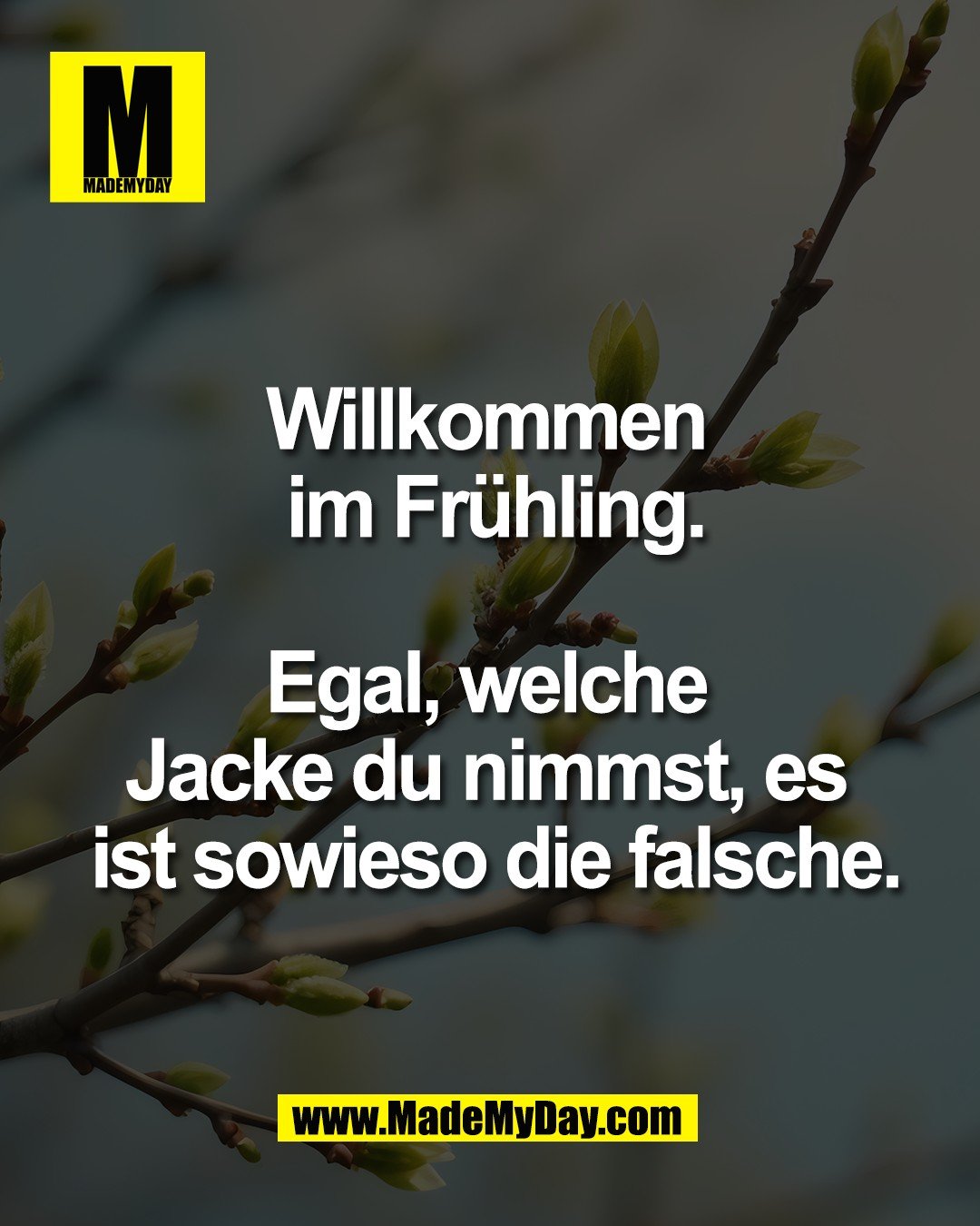 Willkommen <br />
im Fr&uuml;hling.<br />
<br />
Egal, welche <br />
Jacke du nimmst, es <br />
ist sowieso die falsche.