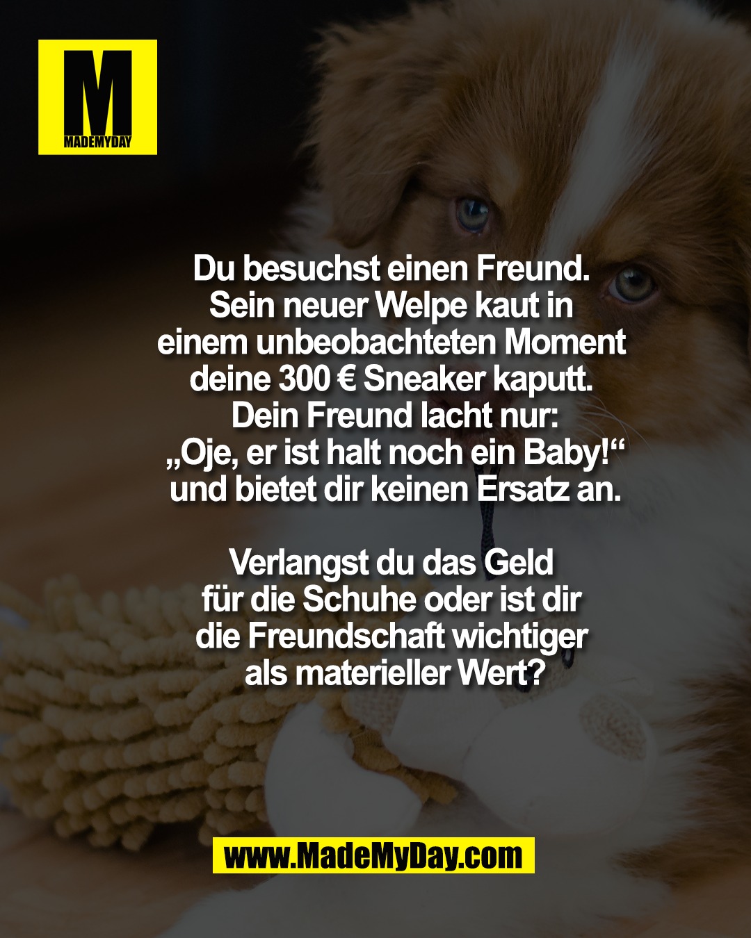 Zahlt die Versicherung der Freundschaft oder erwartest du hier echten Schadensersatz? &eth;&Yuml;&frac34;&eth;&Yuml;&lsquo;&Yuml;
