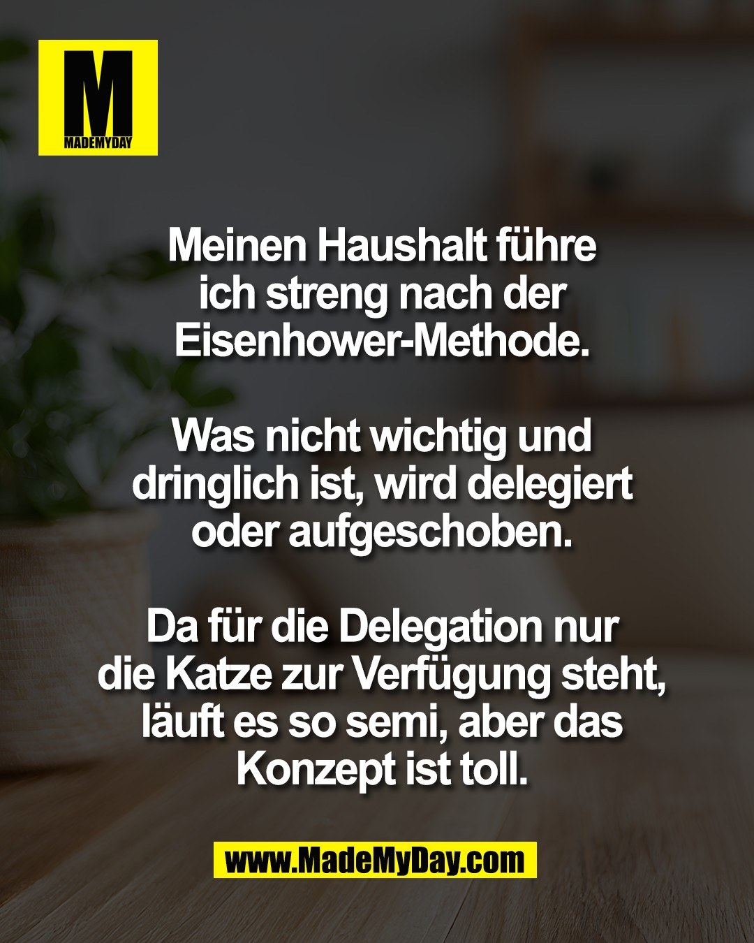Meinen Haushalt f&uuml;hre<br />
ich streng nach der<br />
Eisenhower-Methode.<br />
<br />
Was nicht wichtig und<br />
dringlich ist, wird delegiert<br />
oder aufgeschoben.<br />
<br />
Da f&uuml;r die Delegation nur<br />
die Katze zur Verf&uuml;gung steht,<br />
l&auml;uft es so semi, aber das<br />
Konzept ist toll.