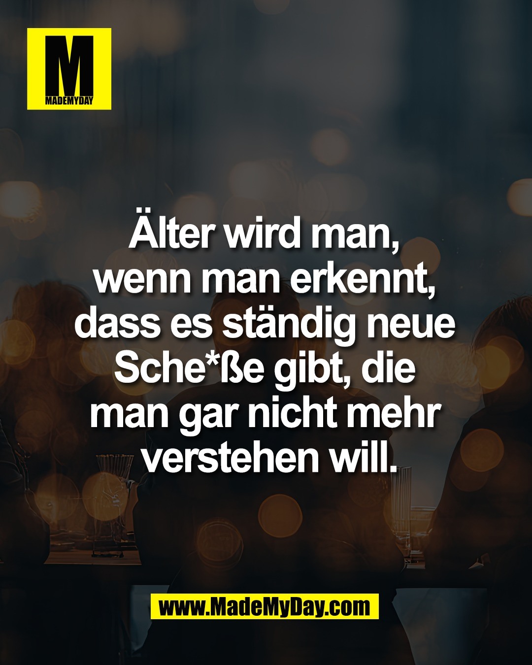 &Auml;lter wird man, <br />
wenn man erkennt, <br />
dass es st&auml;ndig neue <br />
Sche*&szlig;e gibt, die <br />
man gar nicht mehr <br />
verstehen will.