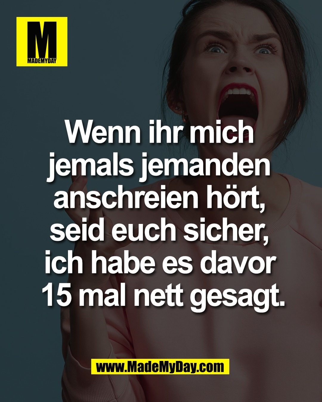 Wenn ihr mich <br />
jemals jemanden <br />
anschreien h&ouml;rt, <br />
seid euch sicher, <br />
ich habe es davor <br />
15 mal nett gesagt.