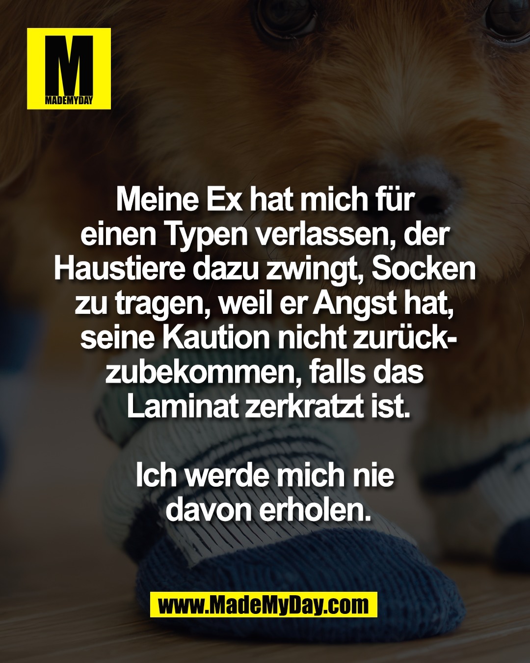 Meine Ex hat mich f&uuml;r <br />
einen Typen verlassen, der <br />
Haustiere dazu zwingt, Socken <br />
zu tragen, weil er Angst hat, <br />
seine Kaution nicht zur&uuml;ck-<br />
zubekommen, falls das <br />
Laminat zerkratzt ist.<br />
<br />
Ich werde mich nie <br />
davon erholen.