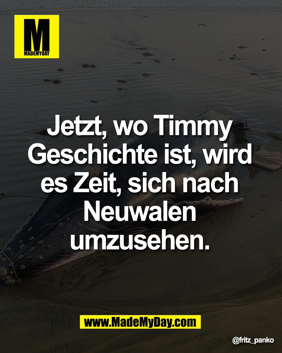 Jetzt, wo Timmy <br />
Geschichte ist, wird <br />
es Zeit, sich nach <br />
Neuwalen <br />
umzusehen.