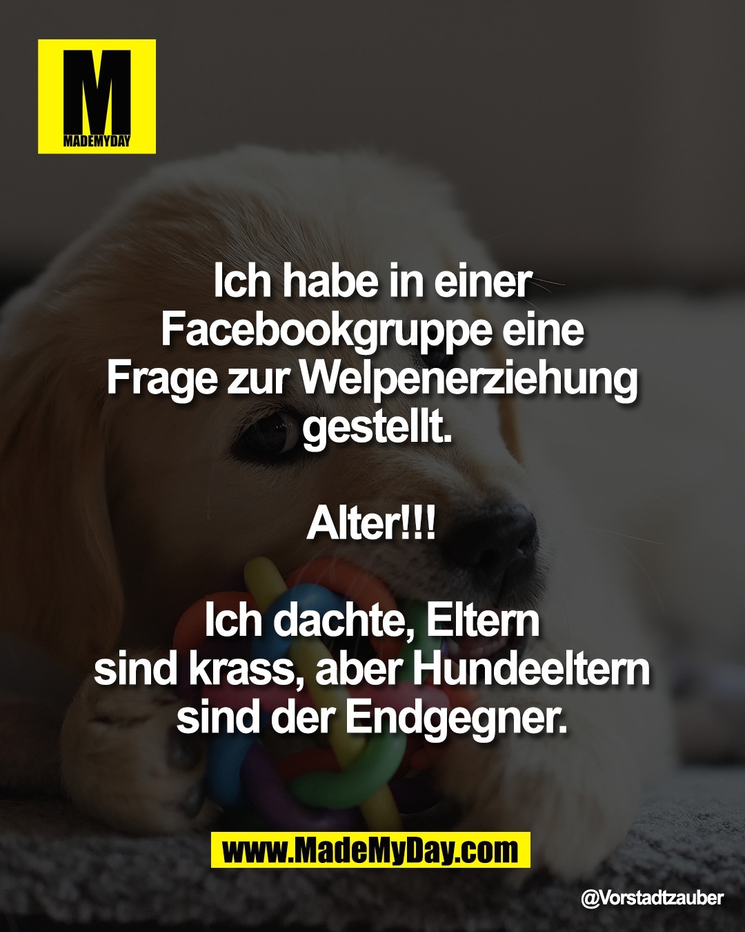 "Ich habe in einer <br />
Facebookgruppe eine <br />
Frage zur Welpenerziehung <br />
gestellt.<br />
 <br />
Alter!!! <br />
<br />
Ich dachte, Eltern <br />
sind krass, aber Hundeeltern <br />
sind der Endgegner. "