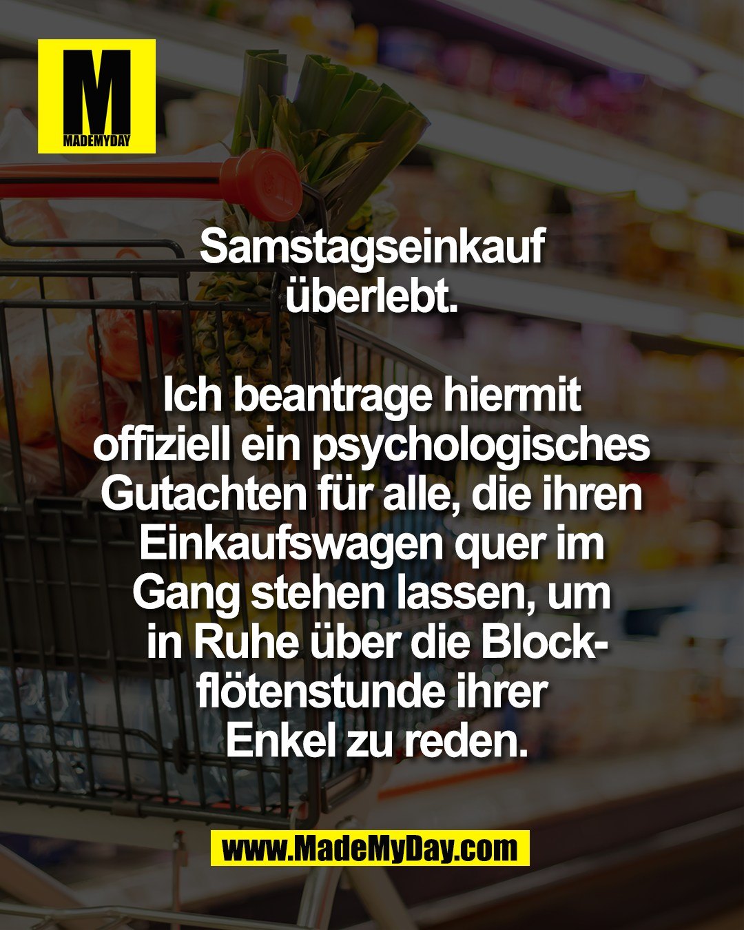 Samstagseinkauf <br />
&uuml;berlebt. <br />
<br />
Ich beantrage hiermit <br />
offiziell ein psychologisches <br />
Gutachten f&uuml;r alle, die ihren <br />
Einkaufswagen quer im <br />
Gang stehen lassen, um <br />
in Ruhe &uuml;ber die Block-<br />
fl&ouml;tenstunde ihrer <br />
Enkel zu reden.