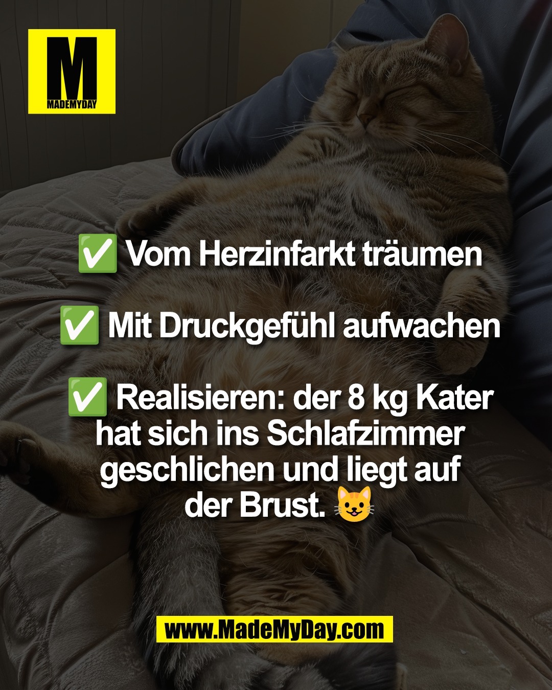 ✅ Vom Herzinfarkt tr&auml;umen<br />
<br />
✅ Mit Druckgef&uuml;hl aufwachen<br />
<br />
✅ Realisieren: der 8 kg Kater<br />
hat sich ins Schlafzimmer<br />
geschlichen und liegt auf<br />
der Brust. 😺