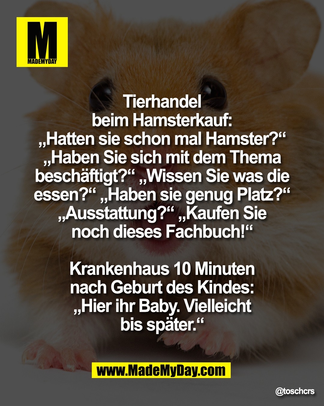Tierhandel <br />
beim Hamsterkauf: <br />
&bdquo;Hatten sie schon mal Hamster?&ldquo; <br />
&bdquo;Haben Sie sich mit dem Thema <br />
besch&auml;ftigt?&ldquo; &bdquo;Wissen Sie was die <br />
essen?&ldquo; &bdquo;Haben sie genug Platz?&ldquo; <br />
&bdquo;Ausstattung?&ldquo; &bdquo;Kaufen Sie <br />
noch dieses Fachbuch!&ldquo; <br />
<br />
Krankenhaus 10 Minuten <br />
nach Geburt des Kindes: <br />
&bdquo;Hier ihr Baby. Vielleicht <br />
bis sp&auml;ter.&ldquo;