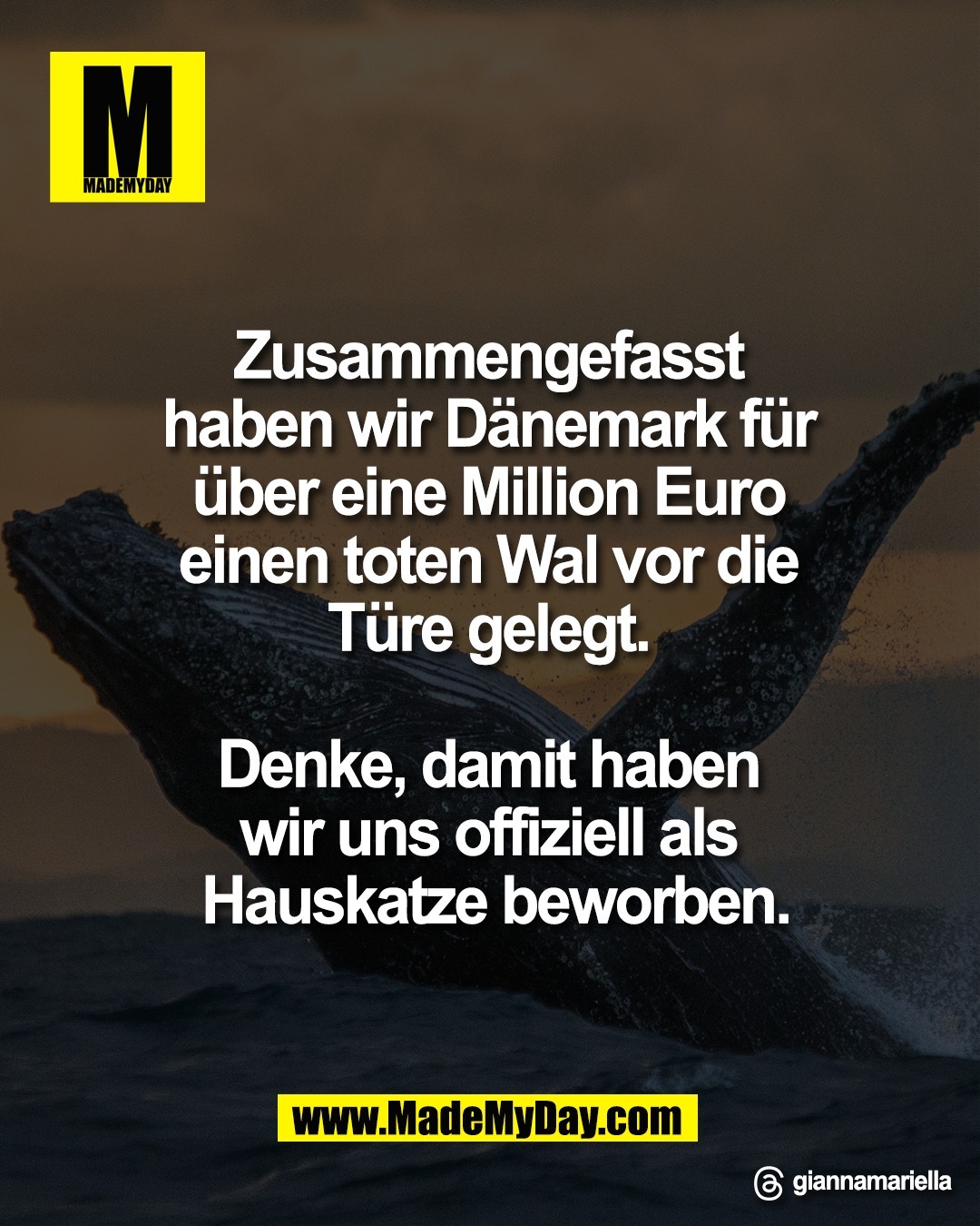 Zusammengefasst <br />
haben wir D&auml;nemark f&uuml;r <br />
&uuml;ber eine Million Euro <br />
einen toten Wal vor die <br />
T&uuml;re gelegt. <br />
<br />
Denke, damit haben <br />
wir uns offiziell als <br />
Hauskatze beworben.<br />
<br />
Threads: giannamariella