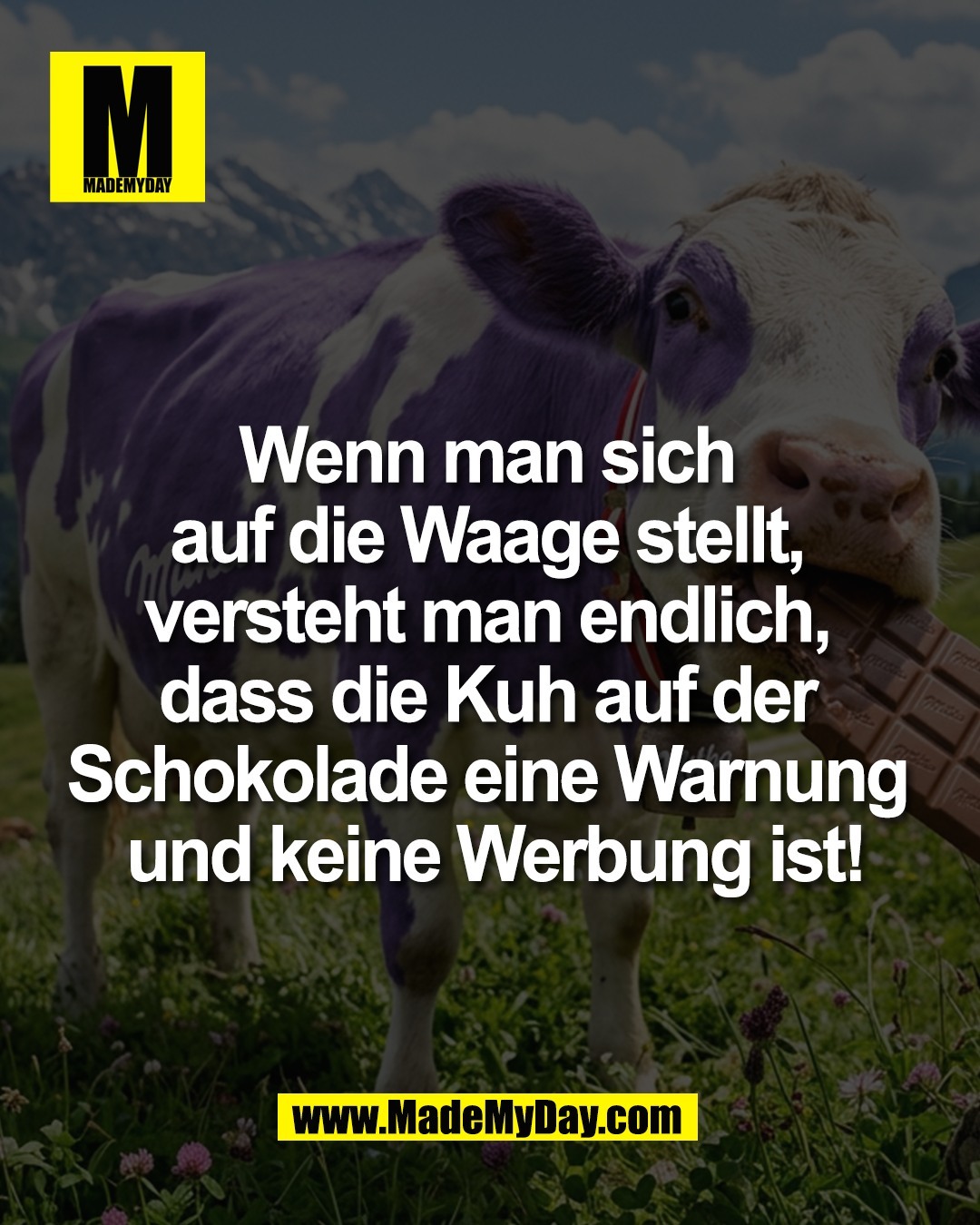 Wenn man sich <br />
auf die Waage stellt, <br />
versteht man endlich, <br />
dass die Kuh auf der <br />
Schokolade eine Warnung <br />
und keine Werbung ist!