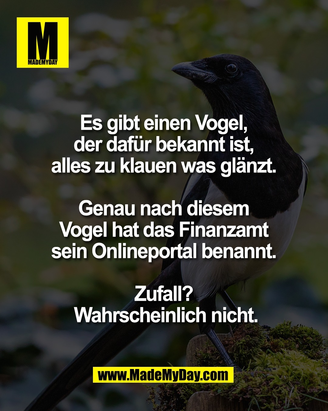 Es gibt einen Vogel, <br />
der daf&uuml;r bekannt ist, <br />
alles zu klauen was gl&auml;nzt. <br />
<br />
Genau nach diesem <br />
Vogel hat das Finanzamt <br />
sein Onlineportal benannt. <br />
<br />
Zufall? <br />
Wahrscheinlich nicht.
