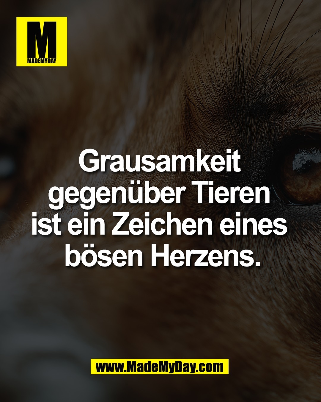 Grausamkeit <br />
gegen&uuml;ber Tieren <br />
ist ein Zeichen eines <br />
b&ouml;sen Herzens.