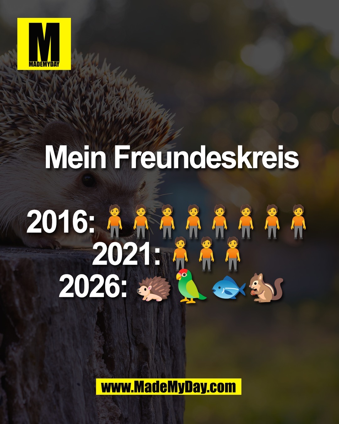 Mein Freundeskreis<br />
<br />
2016: 🧍🧍🧍🧍🧍🧍🧍🧍<br />
2021: 🧍🧍🧍<br />
2026: 🦔🦜🐟🐿️