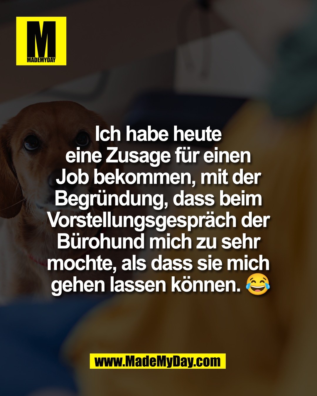 Ich habe heute <br />
eine Zusage f&uuml;r einen <br />
Job bekommen, mit der <br />
Begr&uuml;ndung, dass beim <br />
Vorstellungsgespr&auml;ch der <br />
B&uuml;rohund mich zu sehr <br />
mochte, als dass sie mich <br />
gehen lassen k&ouml;nnen. 😂