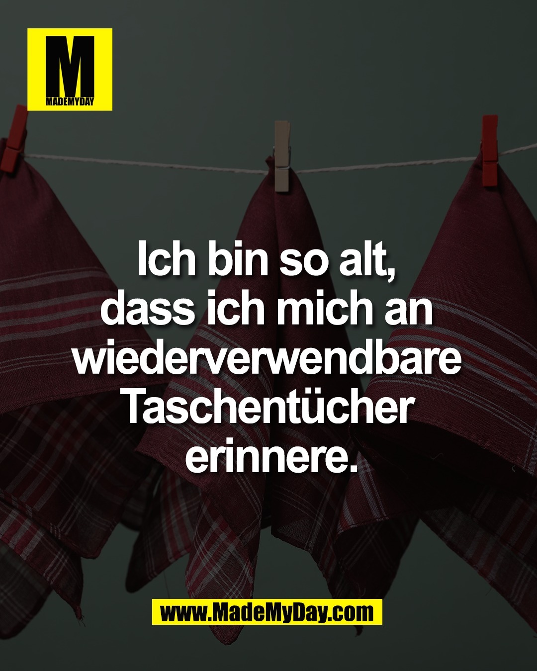 Ich bin so alt, <br />
dass ich mich an <br />
wiederverwendbare <br />
Taschent&uuml;cher <br />
erinnere.<br />
