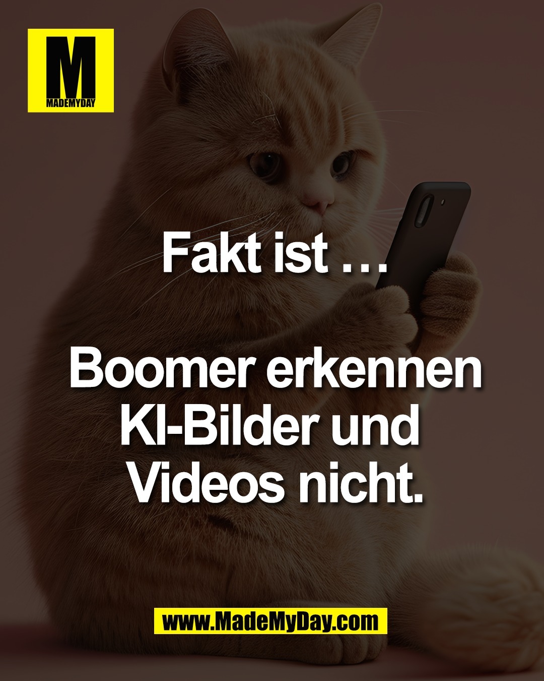 Fakt ist &hellip;<br />
<br />
Boomer erkennen<br />
KI-Bilder und <br />
Videos nicht.