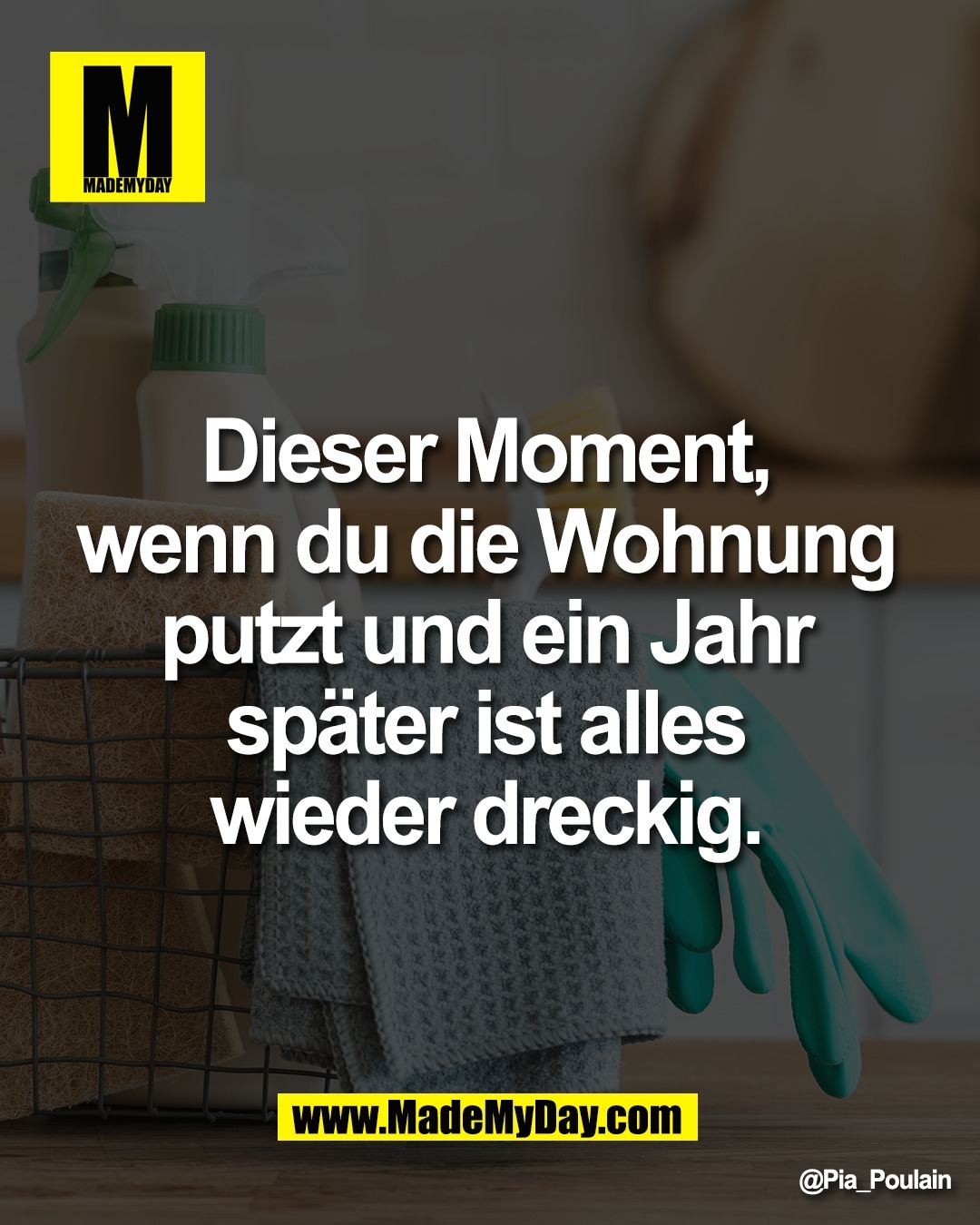 Dieser Moment, <br />
wenn du die Wohnung <br />
putzt und ein Jahr <br />
sp&auml;ter ist alles <br />
wieder dreckig.