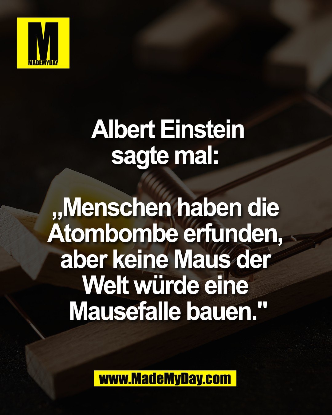 Albert Einstein<br />
sagte mal: <br />
<br />
&bdquo;Menschen haben die <br />
Atombombe erfunden, <br />
aber keine Maus der <br />
Welt w&uuml;rde eine <br />
Mausefalle bauen."