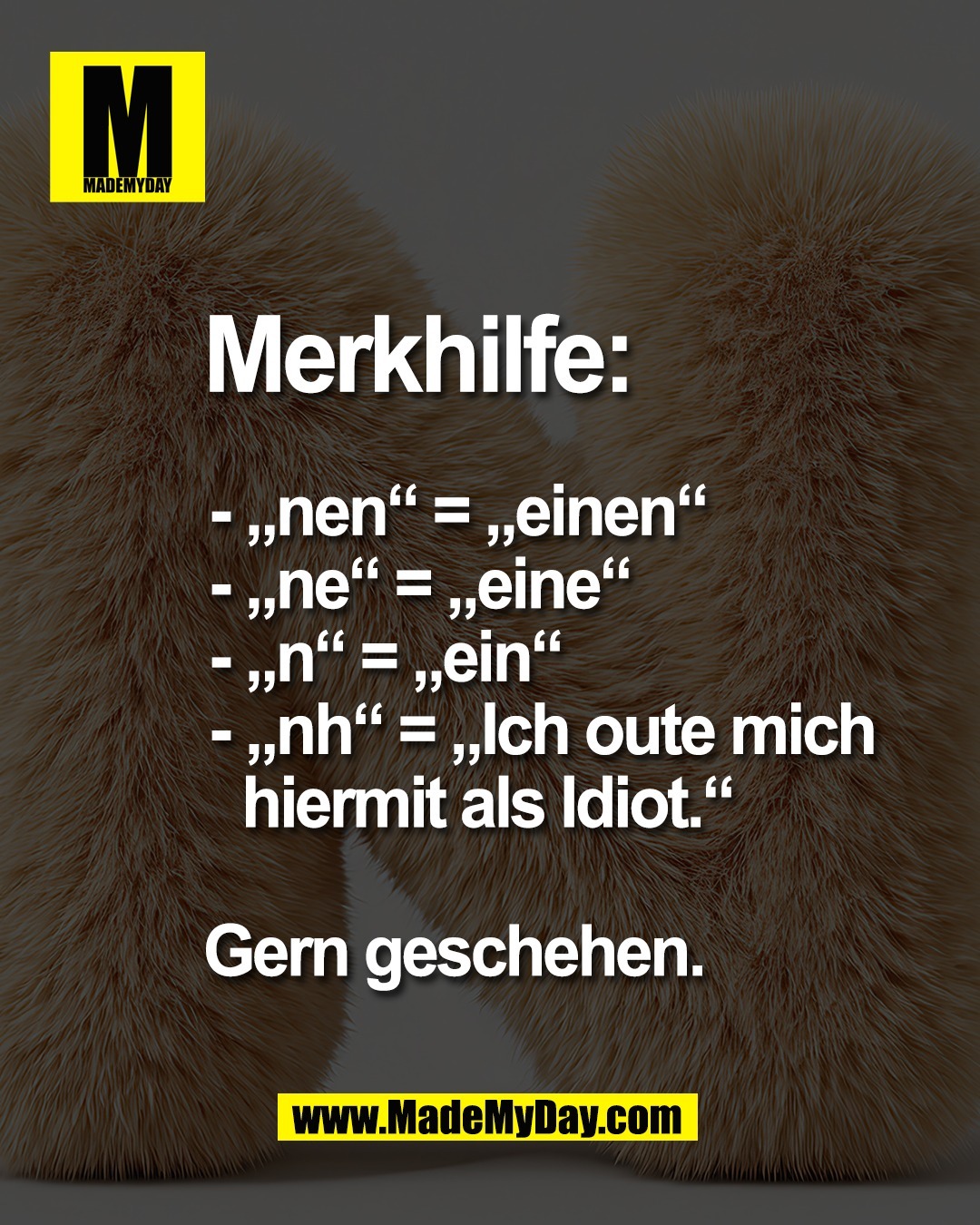 Merkhilfe:<br />
<br />
- &bdquo;nen&ldquo; = &bdquo;einen&ldquo;<br />
- &bdquo;ne&ldquo; = &bdquo;eine&ldquo;<br />
- &bdquo;n&ldquo; = &bdquo;ein&ldquo;<br />
- &bdquo;nh&ldquo; = &bdquo;Ich oute mich <br />
hiermit als Idiot.&ldquo;<br />
<br />
Gern geschehen.
