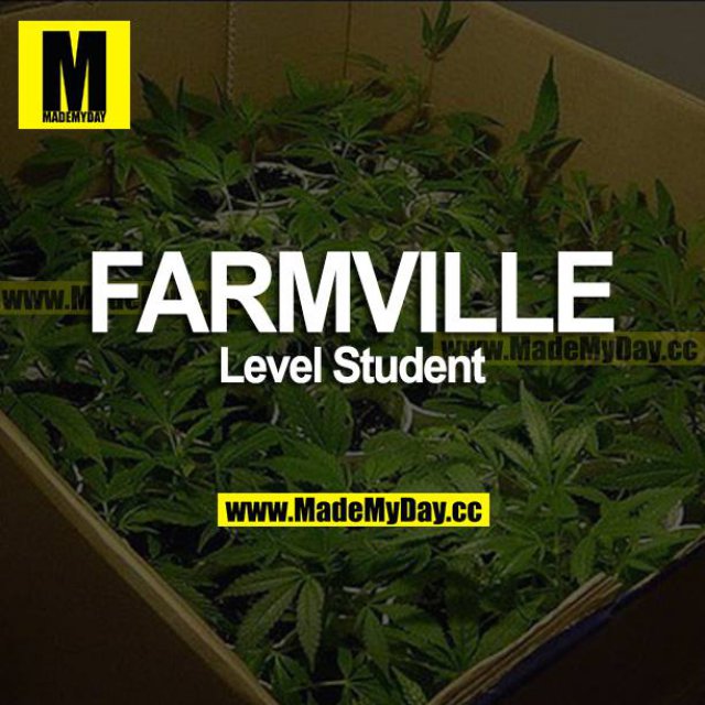 FARMVILLE<br />
Level Student