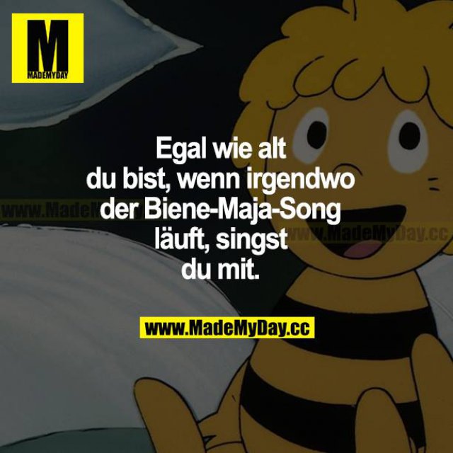 Egal wie alt du bist, wenn irgendwo der Biene-Maja-Song läuft, singst du mit.