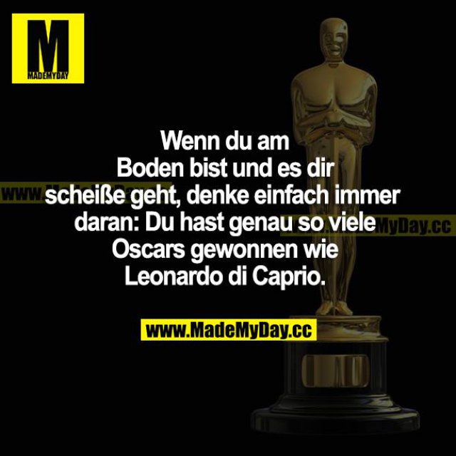 Wenn du am Boden bist und es dir scheiße geht, denke einfach immer daran: Du hast genau so viele Oscars gewonnen wie Leonardo di Caprio.