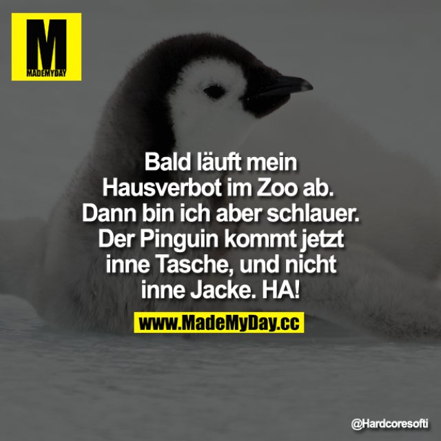 Bald Lauft Mein Hausverbot Im Made My Day