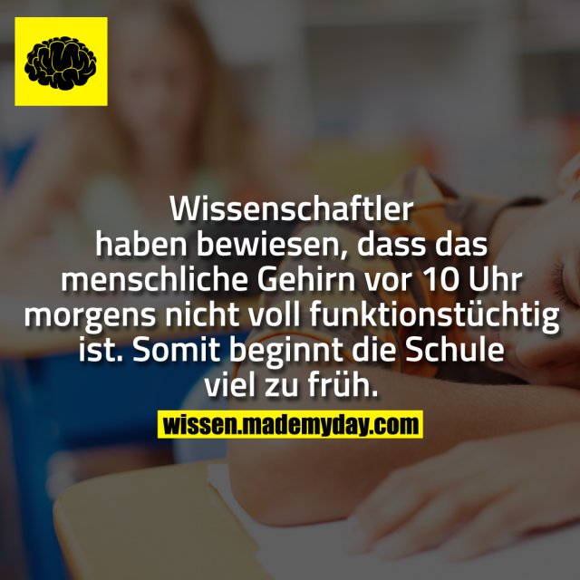 Wissenschaftler haben bewiesen, dass das menschliche Gehirn vor 10 Uhr morgens nicht voll funktionstüchtig ist. Somit beginnt die Schule viel zu früh.