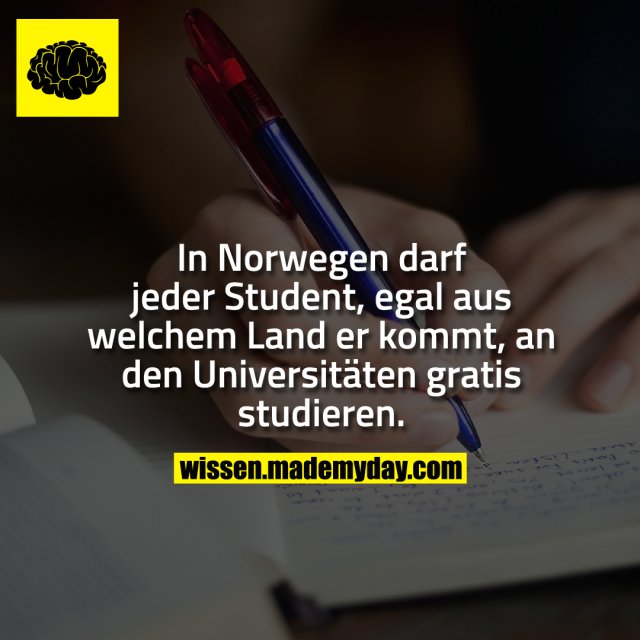 In Norwegen darf jeder Student, egal aus welchem Land er kommt, an den Universitäten gratis studieren.