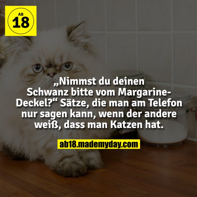 „Nimmst du deinen Schwanz bitte vom Margarine-Deckel?“<br />
Sätze, die man am Telefon nur sagen kann, wenn der andere weiß, dass man Katzen hat.