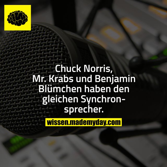 Chuck Norris, Mr. Krabs und Benjamin Blümchen haben den gleichen Synchronsprecher.