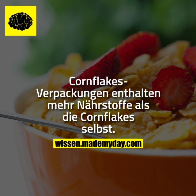 Cornflakes-Verpackungen enthalten mehr Nährstoffe als die Cornflakes selbst.