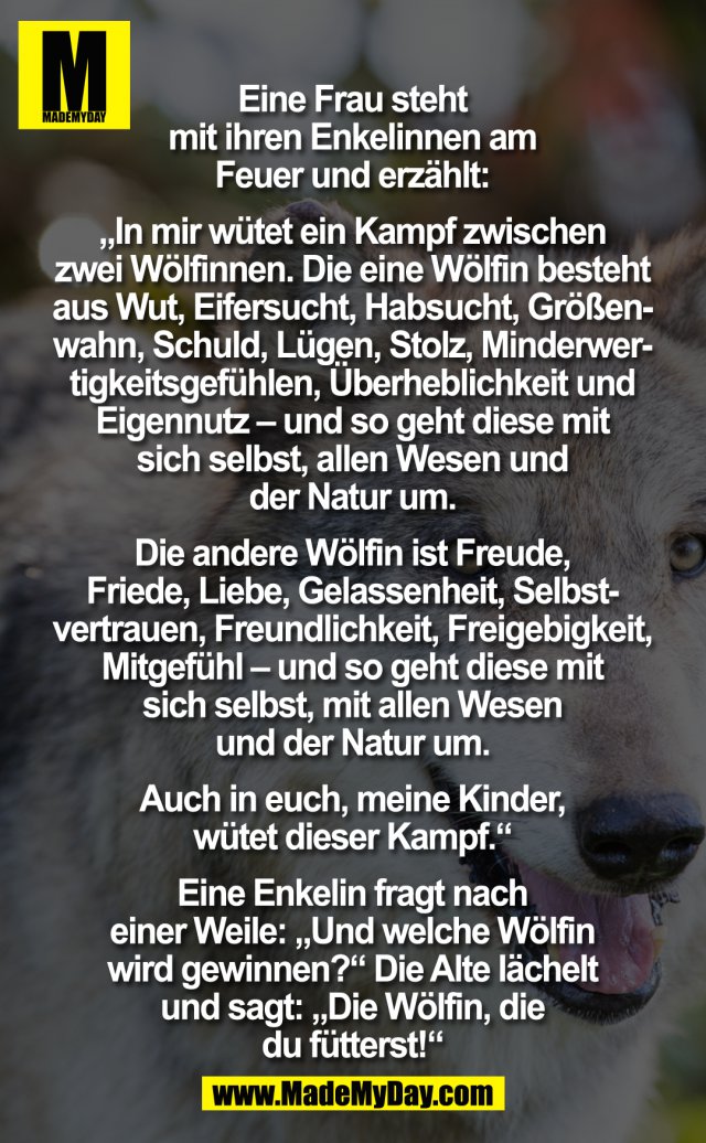 Eine Frau steht mit ihren Enkelinnen am Feuer und erzählt: "In mir wütend ein Kampf zwischen zwei Wölfinnen. Die eine Wölfin besteht aus Wut, Eifersucht, Habsucht, Größenwahn, Schuld, Lügen, Stolz, Minderwertigkeitsgefühlen, Überheblichkeit und Eigennutz – und so geht diese mit sich selbst, allen Wesen und der Natur um. Die andere Wölfin ist Freude, Friede, Liebe, Gelassenheit, Selbstvertrauen, Freundlichkeit, Freigebigkeit, Mitgefühl – und so geht diese mit sich selbst, mit allen Wesen und der Natur um. Auch in Euch, meine Kinder, wütet dieser Kampf."<br />
<br />
Eine Enkelin fragt nach einer Weile: "Und welche Wölfin wird gewinnen?" Die Alte lächelt und sagt: "Die Wölfin, die du fütterst!"