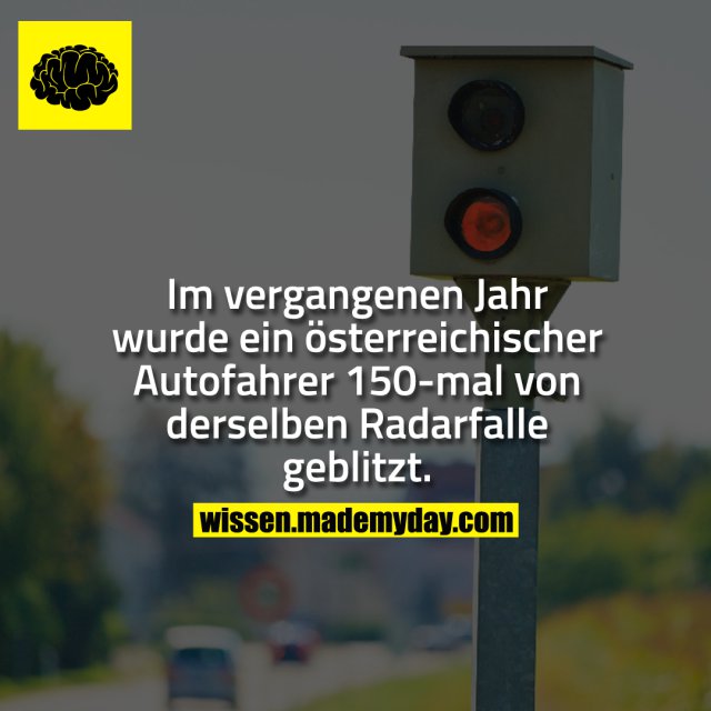 Im vergangenen Jahr wurde ein österreichischer Autofahrer 150-mal von derselben Radarfalle geblitzt.