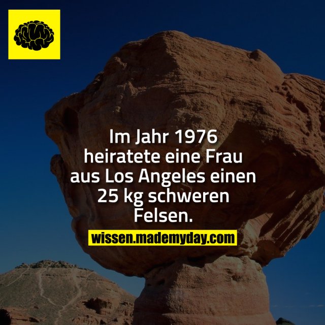 Im Jahr 1976 heiratete eine Frau aus Los Angeles einen 25 kg schweren Felsen.